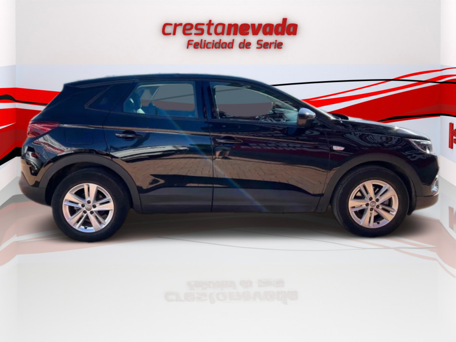 Crestanevada